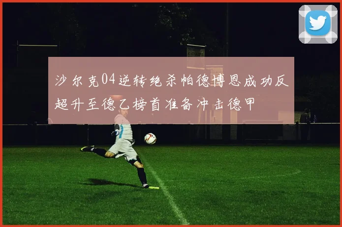 沙尔克04逆转绝杀帕德博恩成功反超升至德乙榜首准备冲击德甲