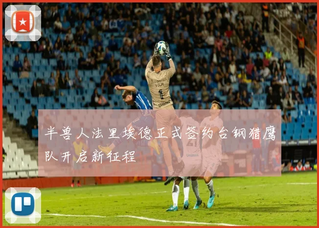 半兽人法里埃德正式签约台钢猎鹰队开启新征程