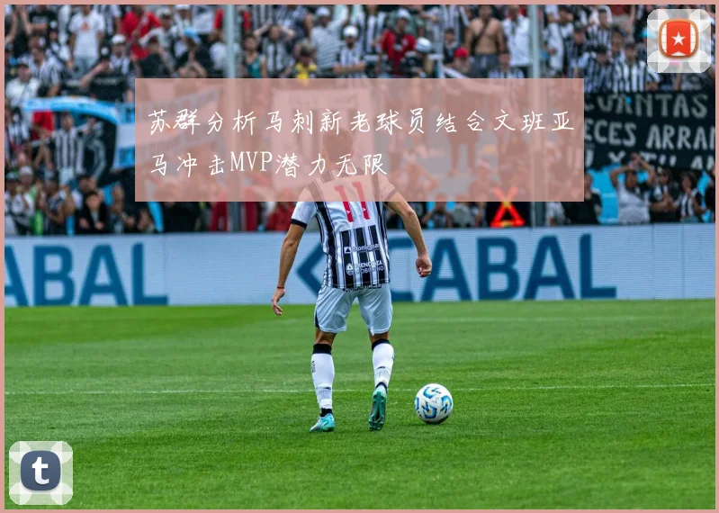 苏群分析马刺新老球员结合文班亚马冲击MVP潜力无限