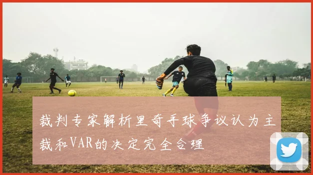裁判专家解析里奇手球争议认为主裁和VAR的决定完全合理