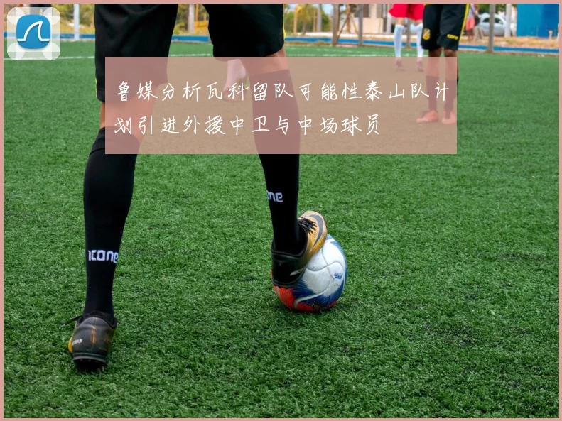 鲁媒分析瓦科留队可能性泰山队计划引进外援中卫与中场球员
